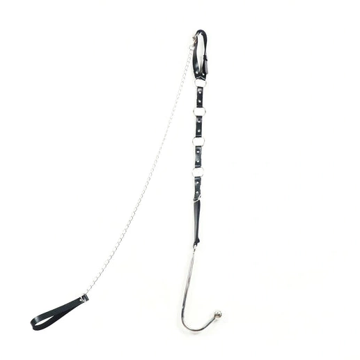5853 Anal with Collar and Hook EverydayUse Leash Kinky 1010